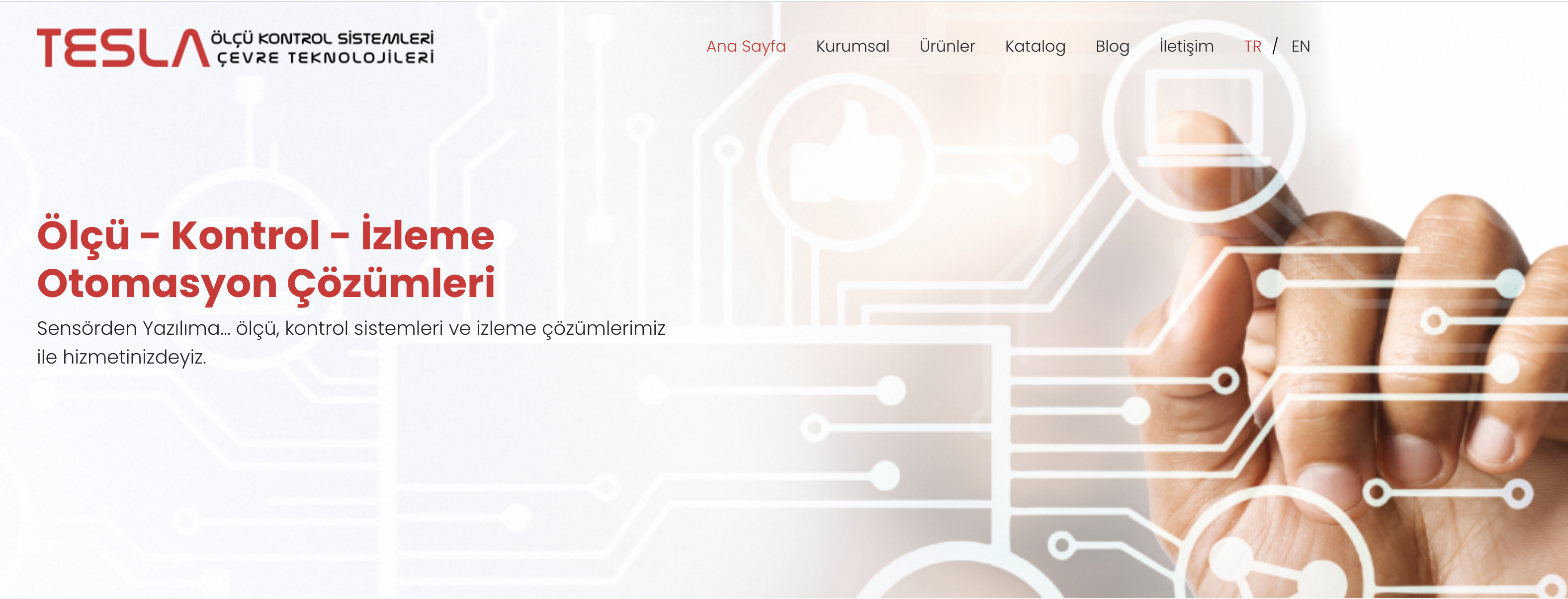 Our web site is renewed!